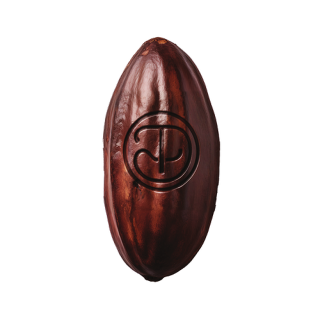 Single-origin cocoa bean with DŪNA monogram